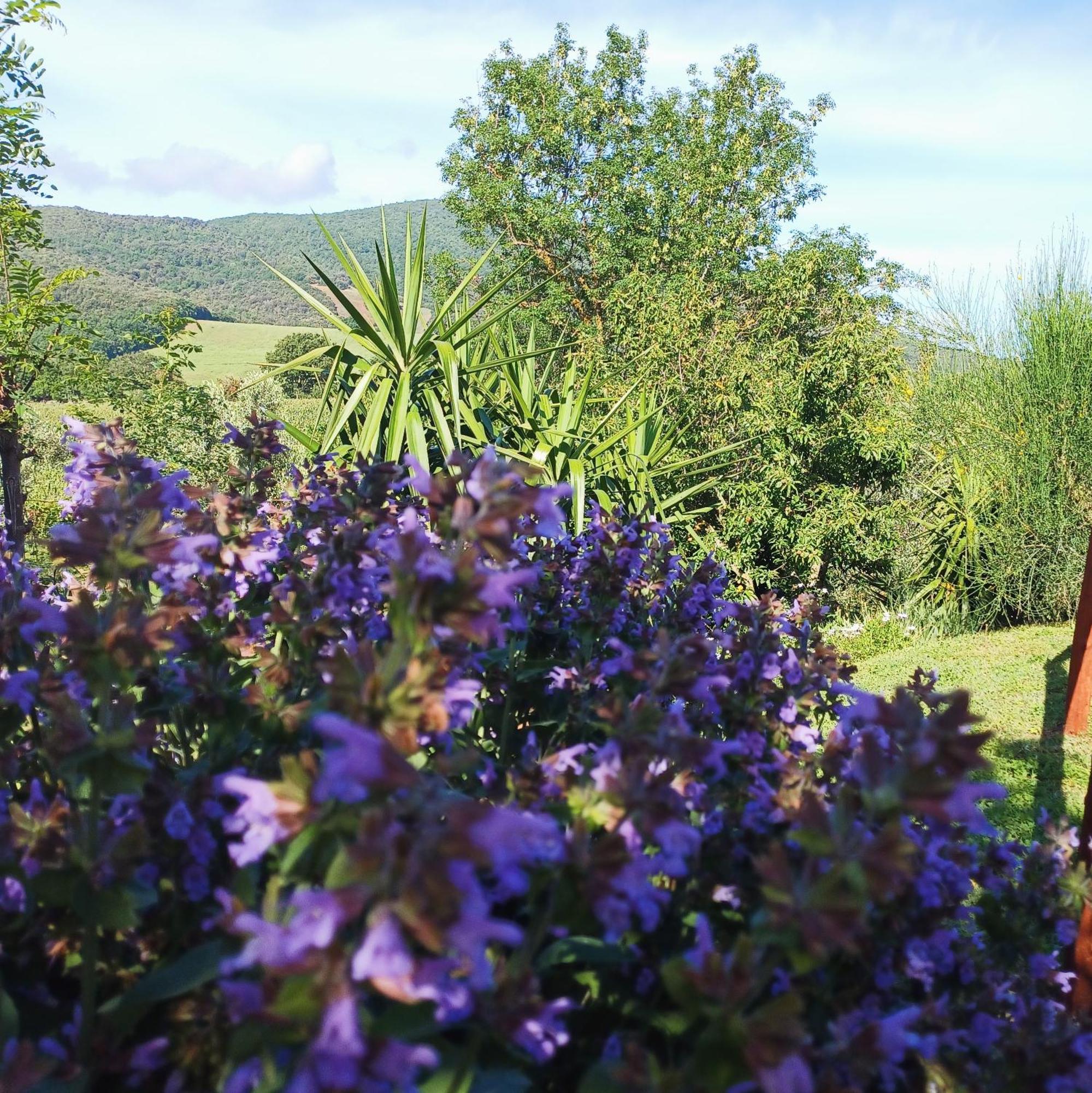 Willa Agriturismo Colleverde Capalbio Zewnętrze zdjęcie