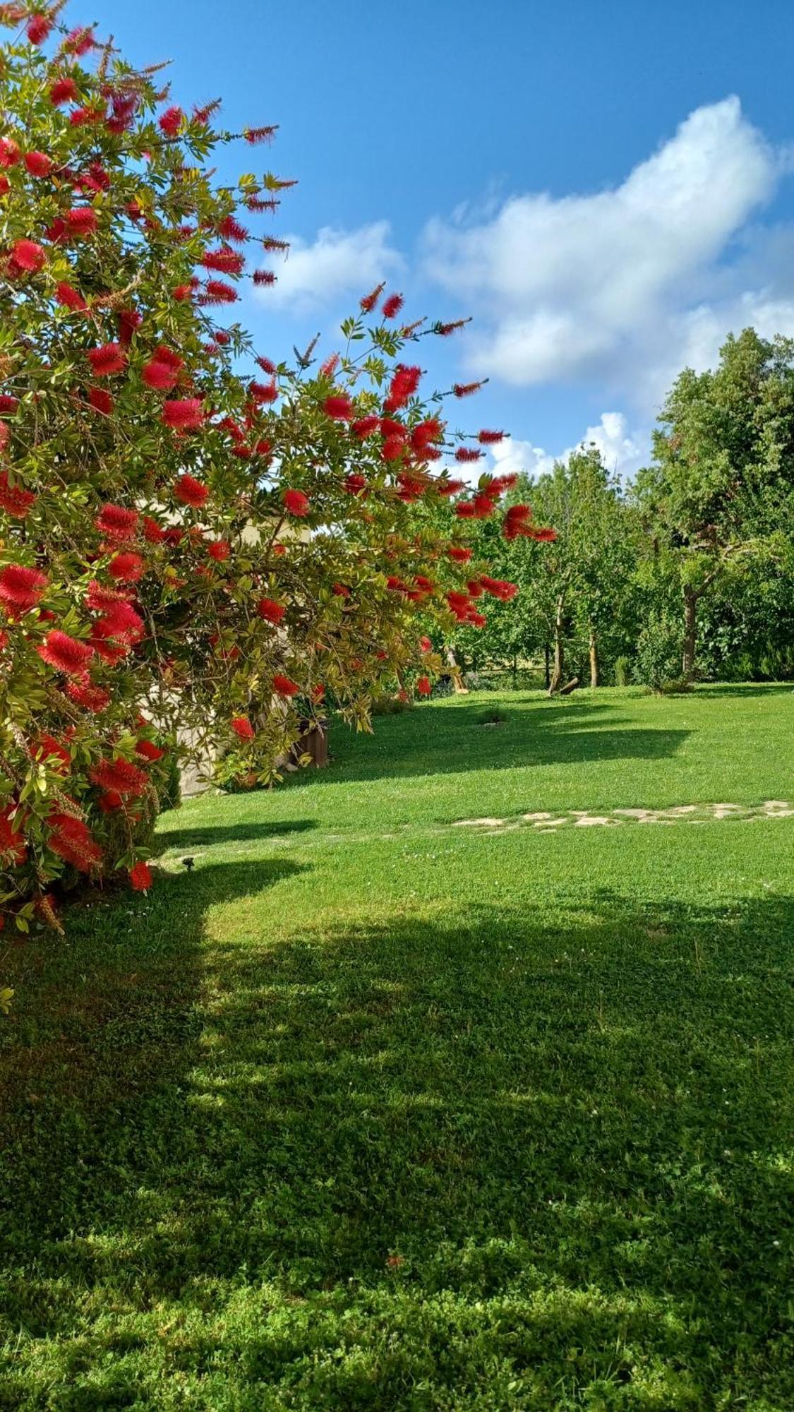 Willa Agriturismo Colleverde Capalbio Zewnętrze zdjęcie