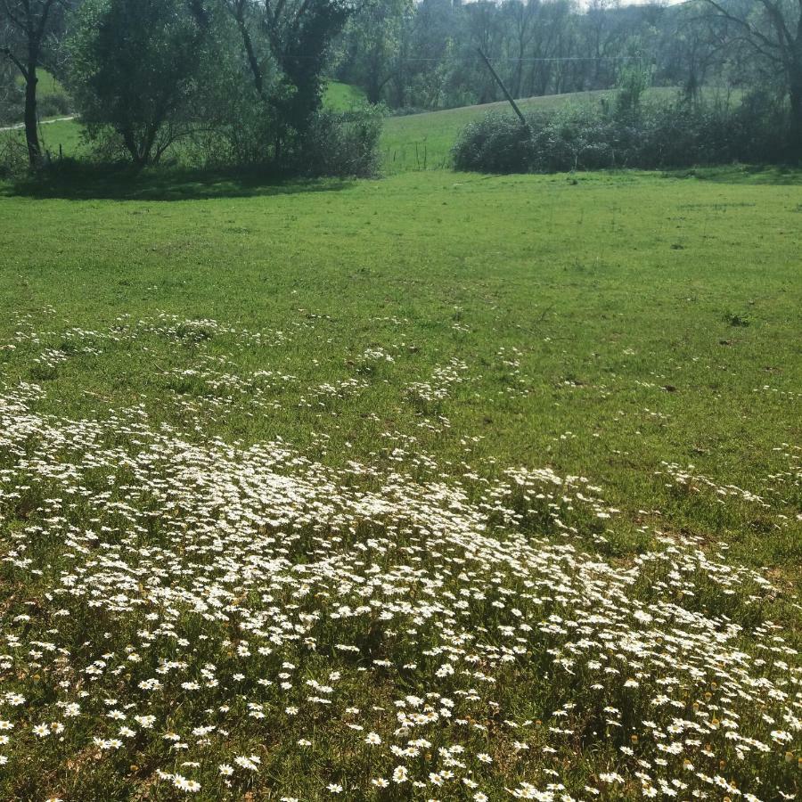 Willa Agriturismo Colleverde Capalbio Zewnętrze zdjęcie